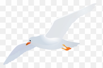Download Seagull Transparent Png Image - Transparent Background Seagull Clip Art,Seagull Png