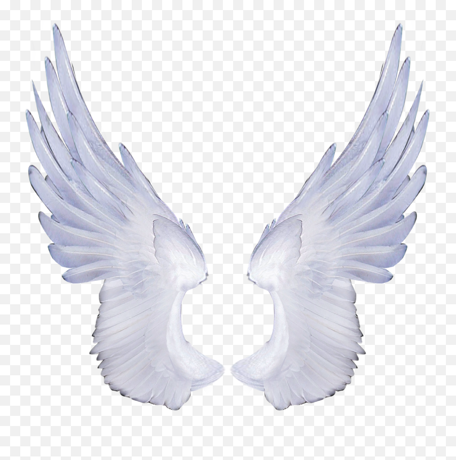 Download Free Angel Wings Transparent Background - Png Melek Transparent Background Angel Wings Png,Angel Transparent Background