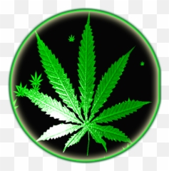 Weed Rasta Smoke Wallpapers - Weed Rasta Png,Weed Transparent Background