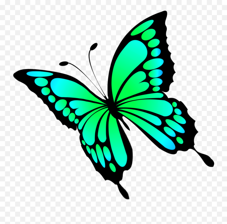 Butterfly Clipart - Clip Art Butterfly Png,Butterflies Transparent Background