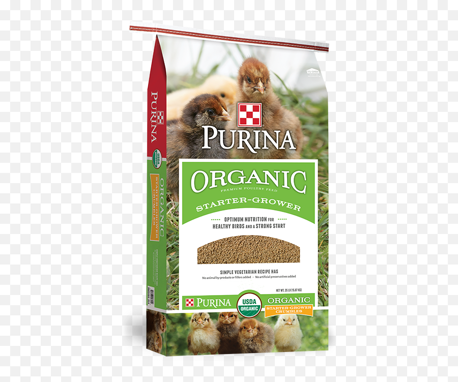 Organic Starter - Organic Feeds For Chicken Png,Chick Png