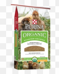 Organic Starter - Organic Feeds For Chicken Png,Chick Png