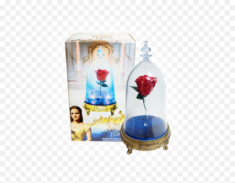 Download Beauty And The Beast Enchanted Rose Kopen Png Image - Loudspeaker,Beauty And The Beast Rose Png