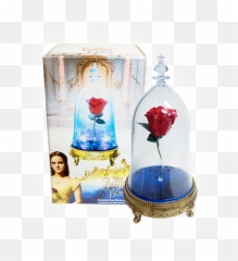 Download Beauty And The Beast Enchanted Rose Kopen Png Image - Loudspeaker,Beauty And The Beast Rose Png