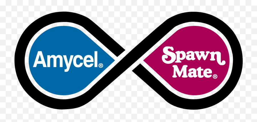 Home Amycel - Amycel Spawn Mate Logo Png,Spawn Png