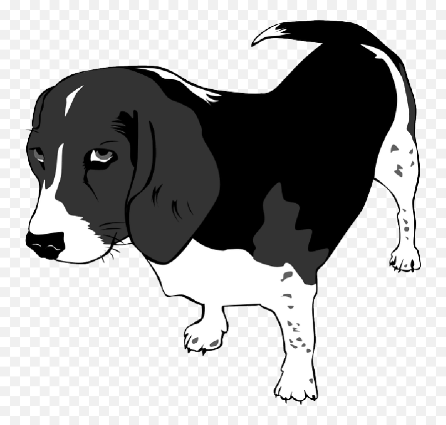 Animals Cartoon Dog Mammals Dogs - Animals For Kids For Flashcard Png,Beagle Png