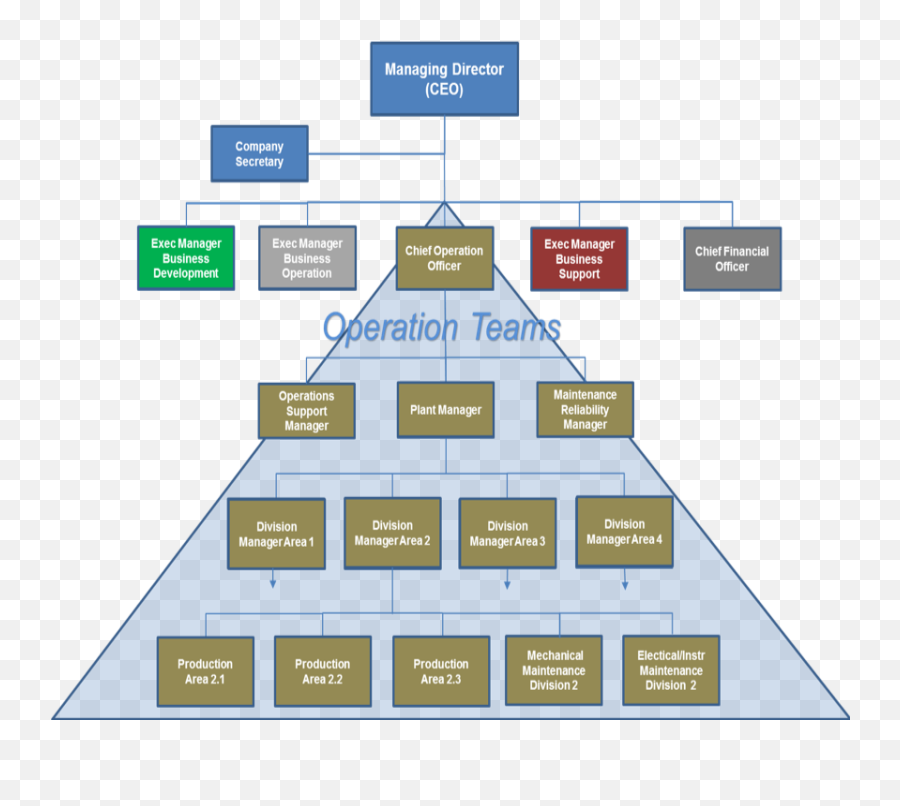 Business structure. Организационная структура бизнеса. Иерархия в бизнесе. Иерархия в компании Business Development. Business Development Management в структуре.