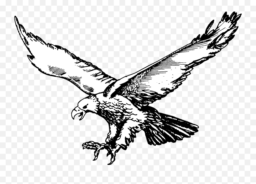 Philadelphia Eagles Logo Png Transparent Svg Vector - Olivet High School Michigan,Philadelphia Eagles Png