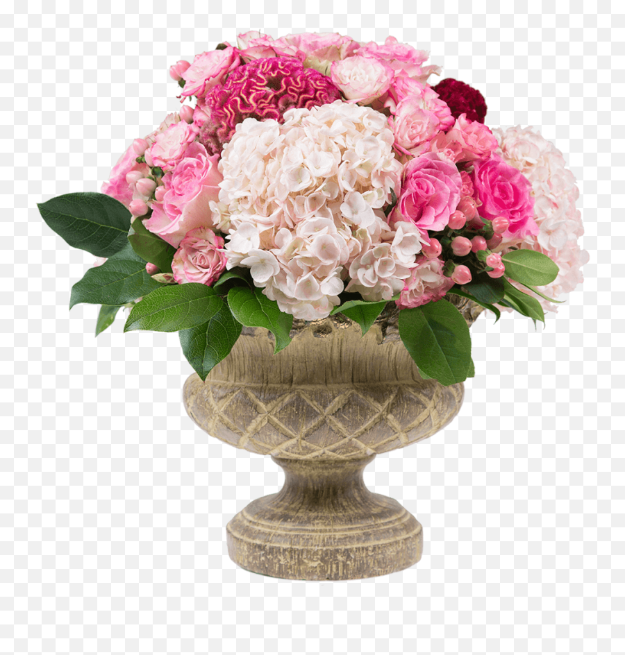 Strawberry Shortcake U2013 Flowersbynumbercom - Bouquet Png,Strawberry Shortcake Png