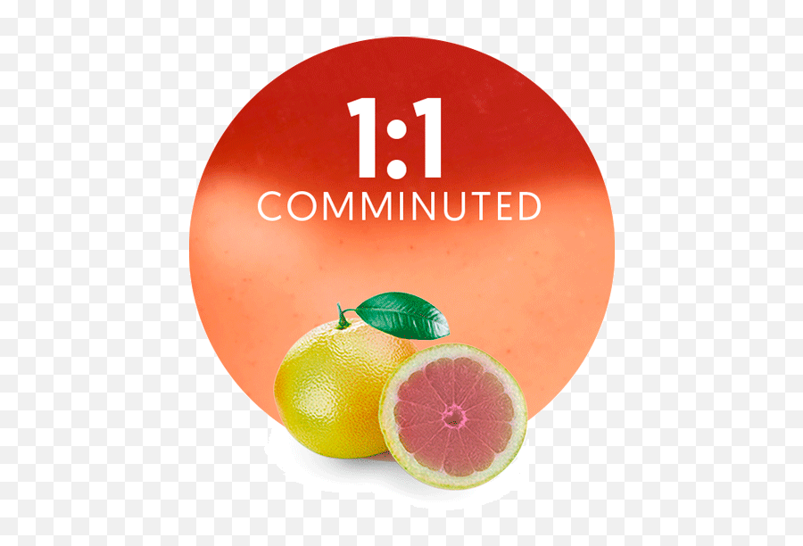 Pink Grapefruit Comminuted 11 - Manufacturer U0026 Supplier Rangpur Png,Grapefruit Png
