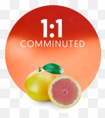 Pink Grapefruit Comminuted 11 - Manufacturer U0026 Supplier Rangpur Png,Grapefruit Png