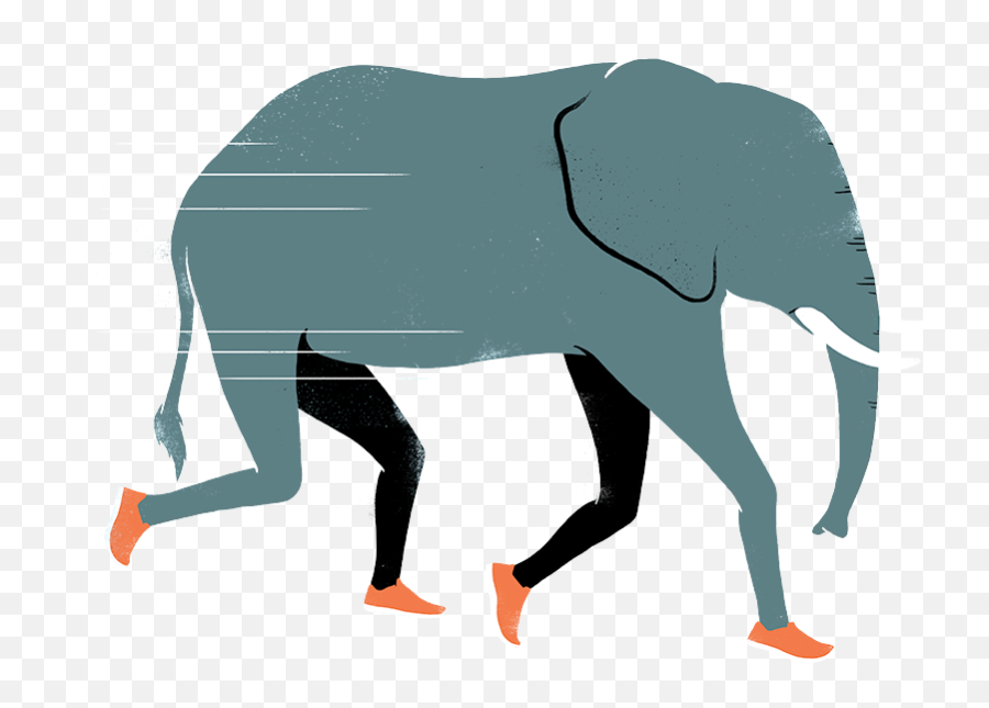 Download Elephant - Home Clipart Png Download Indian Elephant,Home Clipart Png