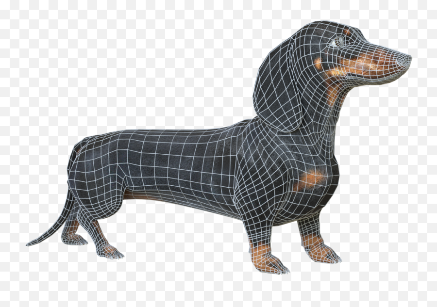 Black Dachshund - Dachshund Png,Dachshund Png