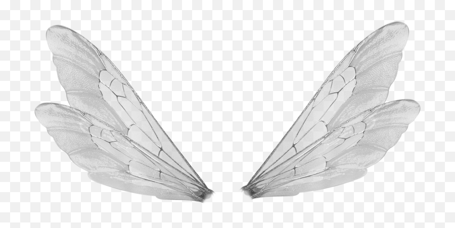 Transparent Shared - Transparent Fairy Wings Png,Wings Transparent