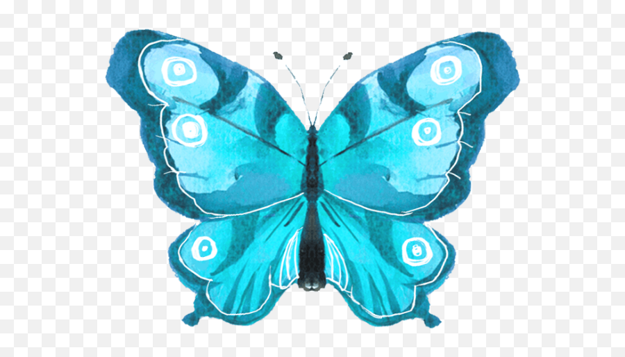 Free Online Butterfly Butterflies Watercolor Decoration - Lycaenid Png,Watercolor Butterfly Png