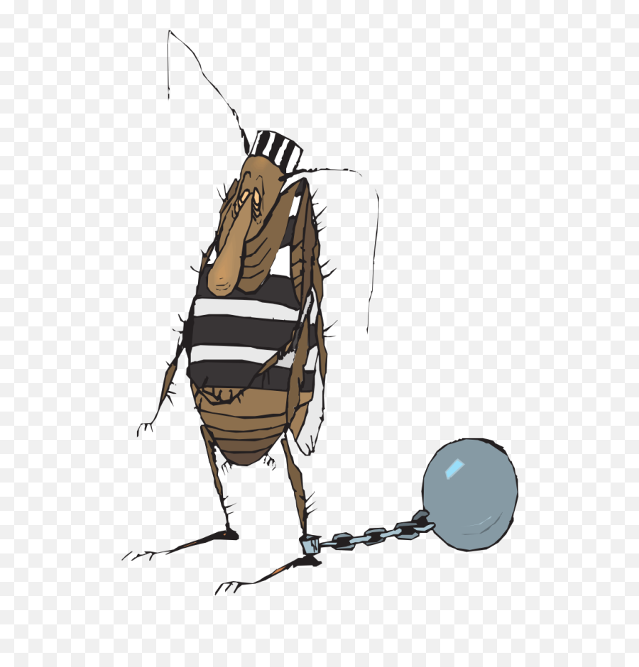 Ball Chain Bug - Free Vector Graphic On Pixabay Cockroach Prisoner Png,Ball And Chain Png