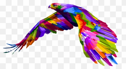 Feathers Clipart Geometric - Hawk png