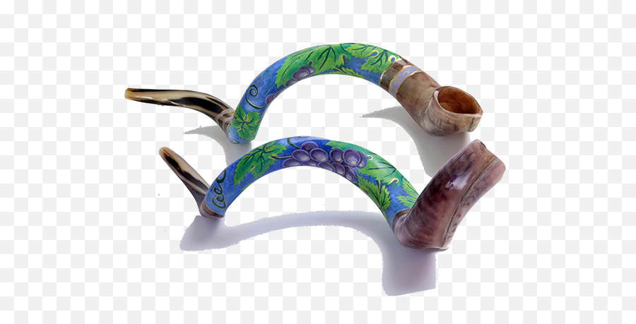 Hand Painted Kosher Yemenite Kudo Kudu - Blowing Horn Png,Shofar Png