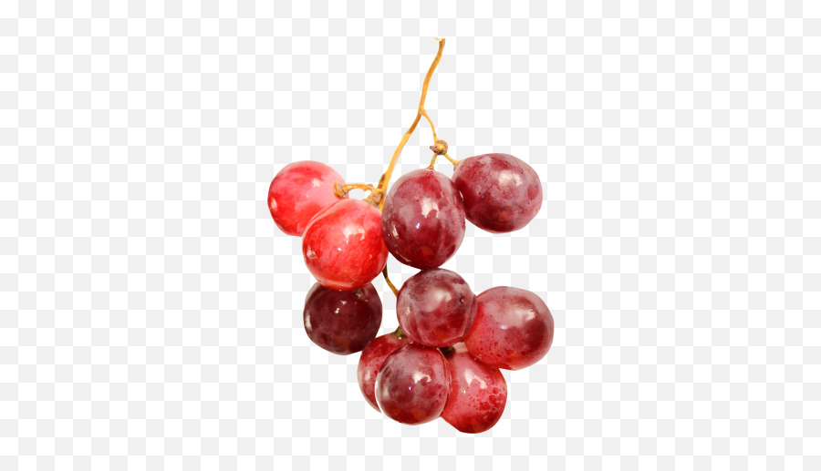 Red Grape New Harvest - 24209 Transparentpng Red Grapes Grape Png,Grapes Icon