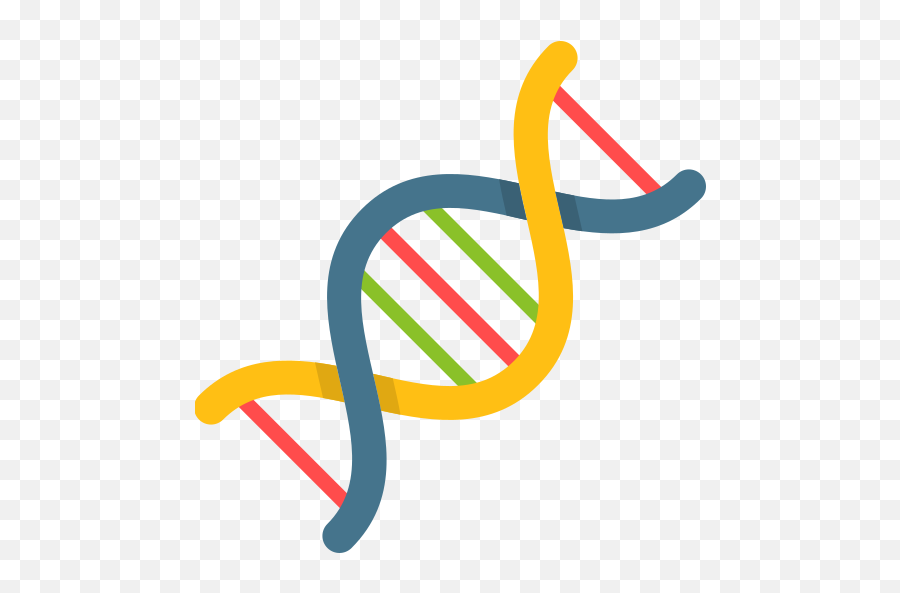 Samiur Rahim - Dna Free Icon Png,Dna Colorful Icon