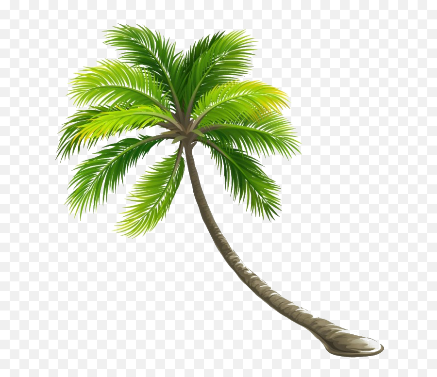 Coconut Tree Png File All - Palm Tree Transparent Background,Palm Tree Logo Png