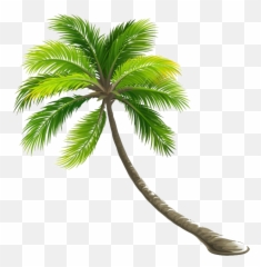 Coconut Tree Png File All - Palm Tree Transparent Background,Palm Tree Logo Png
