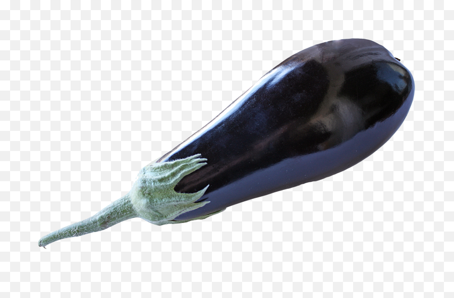 Eggplant Png Image - Purepng Free Transparent Cc0 Png Eggplant,Eggplant Transparent