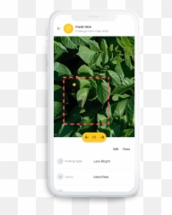 Homepage - AgroScout Smartphone png
