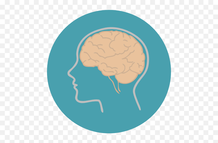 People Medical Brain Body Part - Biology Brain Icon Png,Human Brain Png