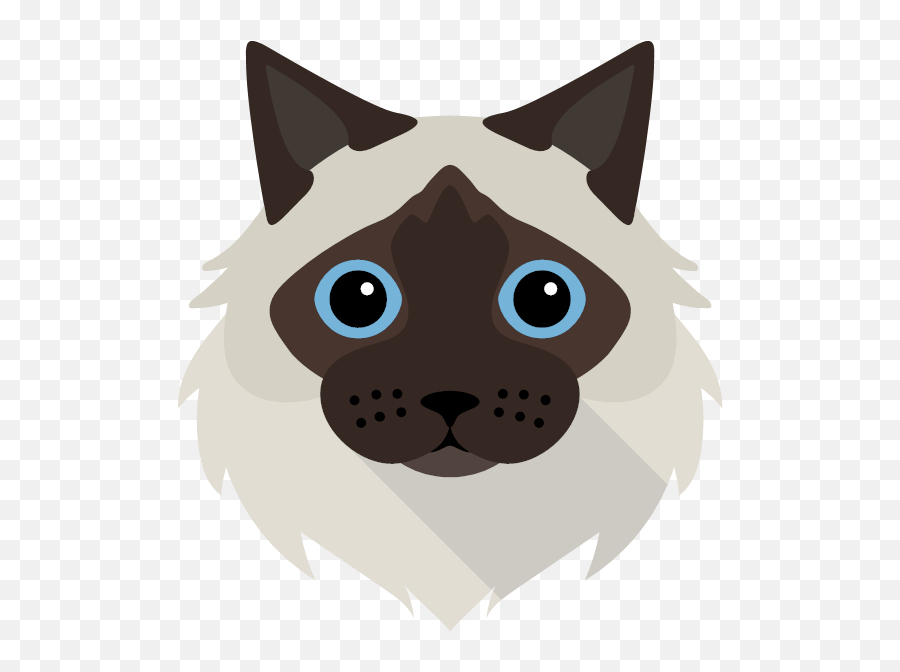 Personalised U0027peeking Cat With Hatu0027 Santa Sack Yappycom - Soft Png,Christmas Cat Icon