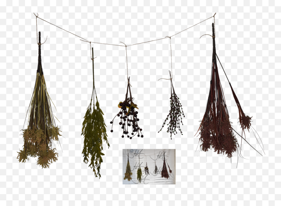 Download Hd Herbs Png - Dried Herbs 3d Model Free Dried Herbs Png,Herbs Png