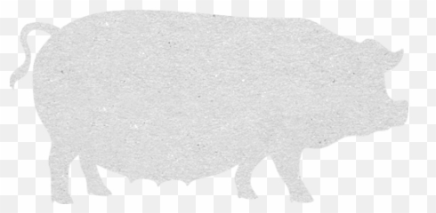 Cardboard Pig 3 Icon - Free cardboard animal icons Lard Pig png