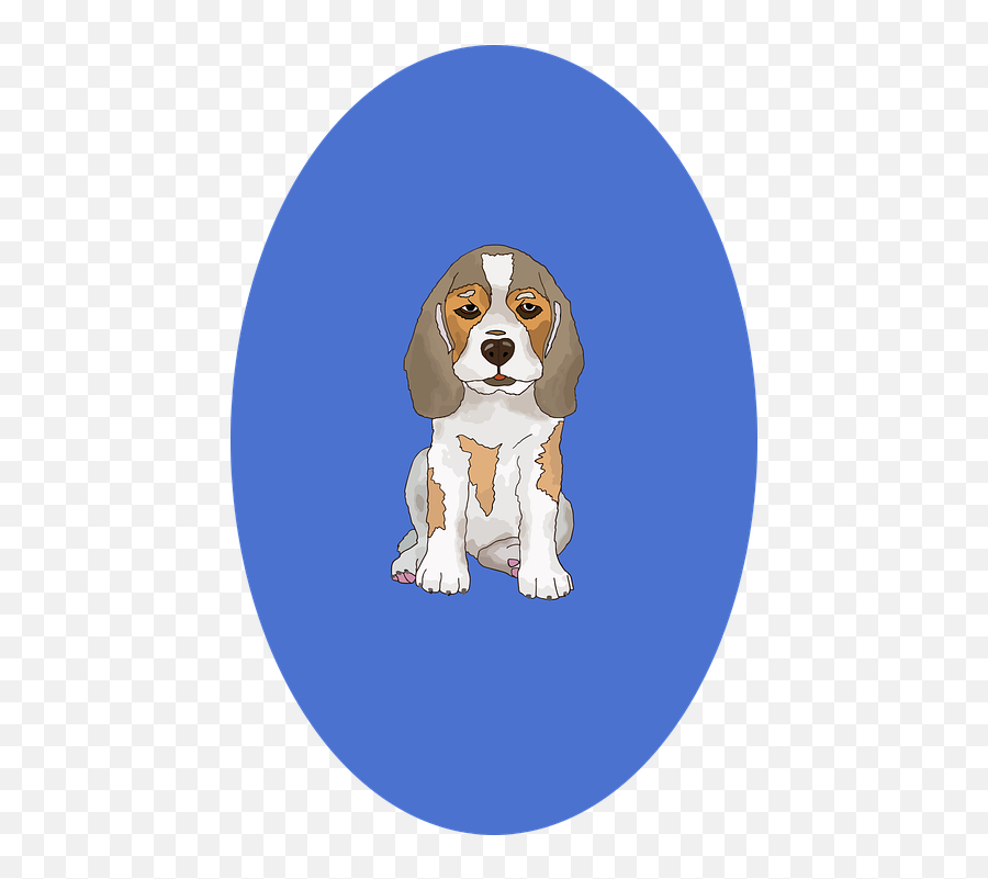 Beagle Dog Pet - Beaglier Png,Beagle Png