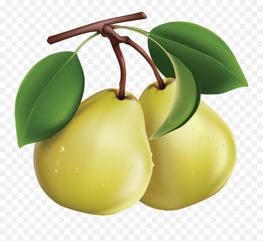 Download Pear Png Image Hq - Pears Clipart Png,Pear Png