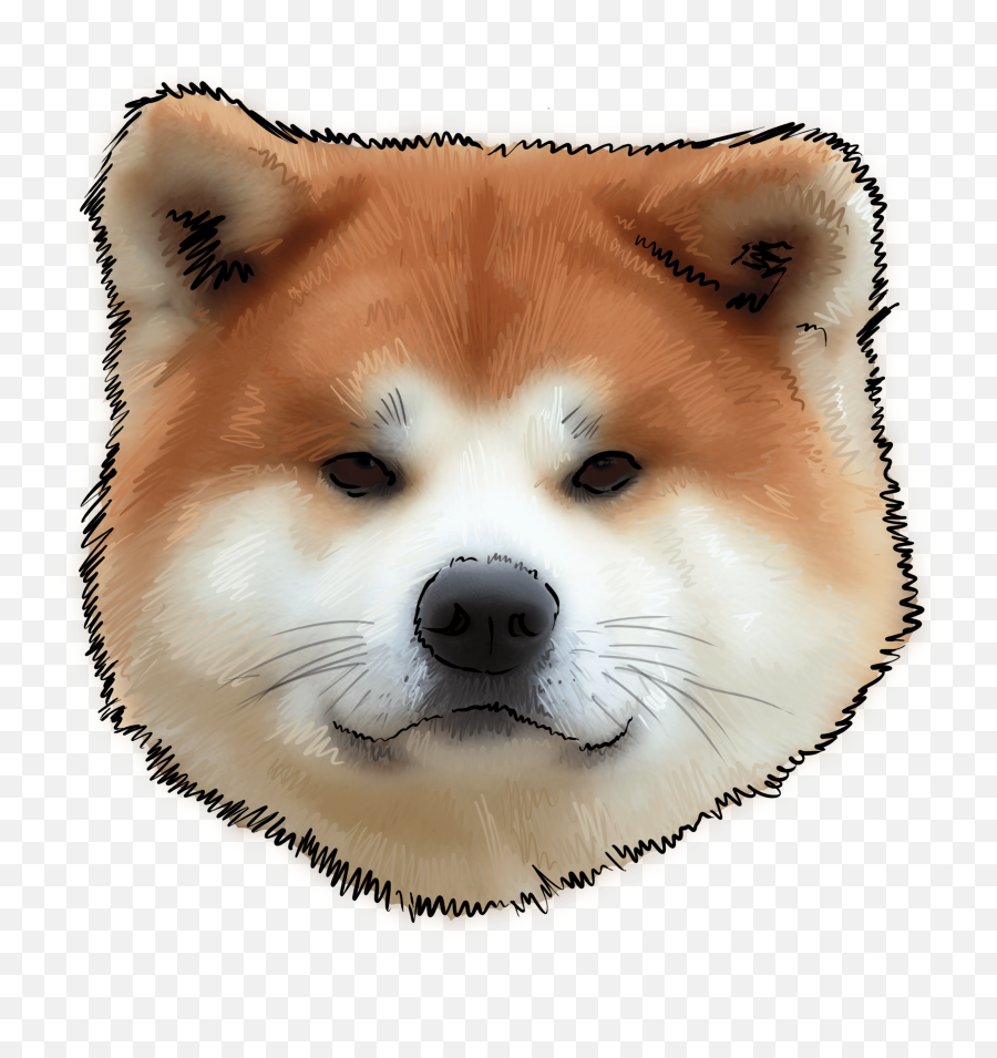 Cachorro De Akita Inu Png Image - Akita Inu Png,Cachorro Png