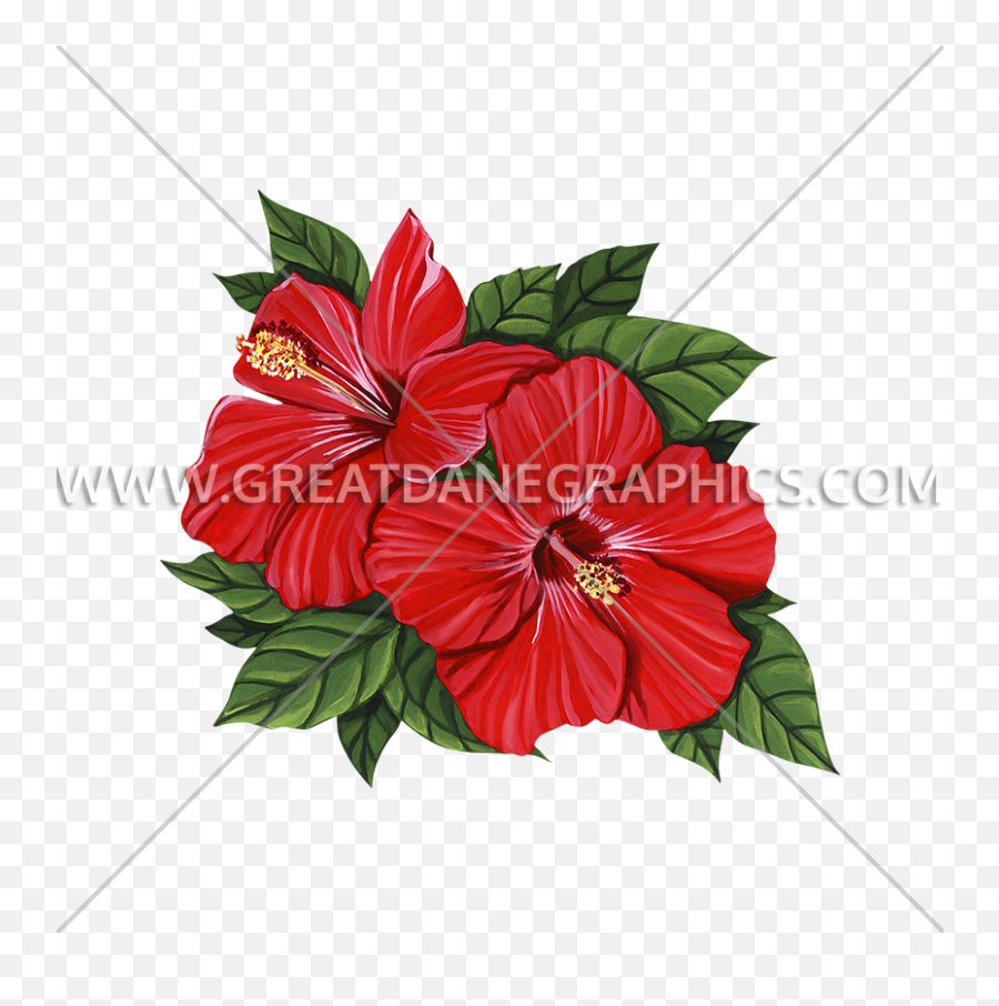 Hibiscus Flower Production Ready Artwork For T - Shirt Printing Chinese Hibiscus Png,Hawaiian Flower Png