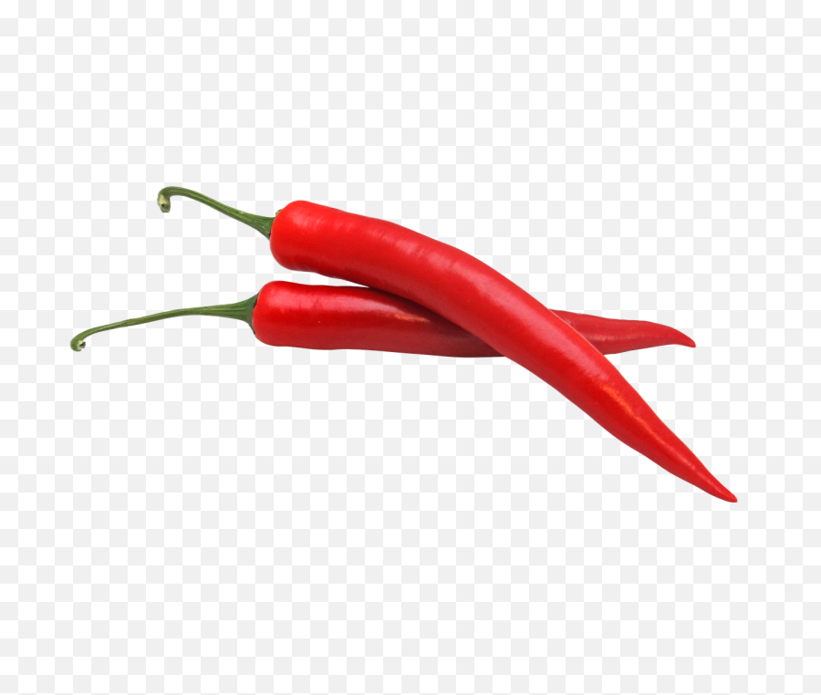 Jalapeno - Chili Pepper Transparent Background Png,Chili Png