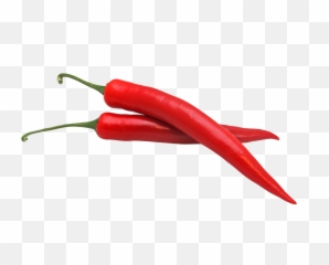 Jalapeno - Chili Pepper Transparent Background Png,Chili Png