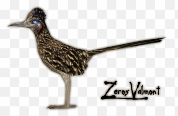 Download 4dd5 - Roadrunner Real Png,Road Runner Png