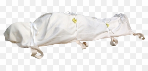 Shrouds - Dard Bhari Gambhir Shayari Png,Shroud Png