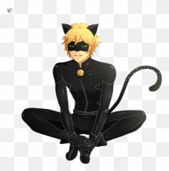 Lady Bug E Cat Noir - Cat Noir Ladybug Png,Ladybug Png