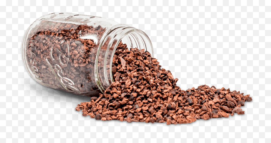 Cacao Beans - Cocoa Png,Cacao Png