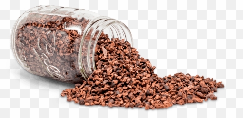 Cacao Beans - Cocoa Png,Cacao Png