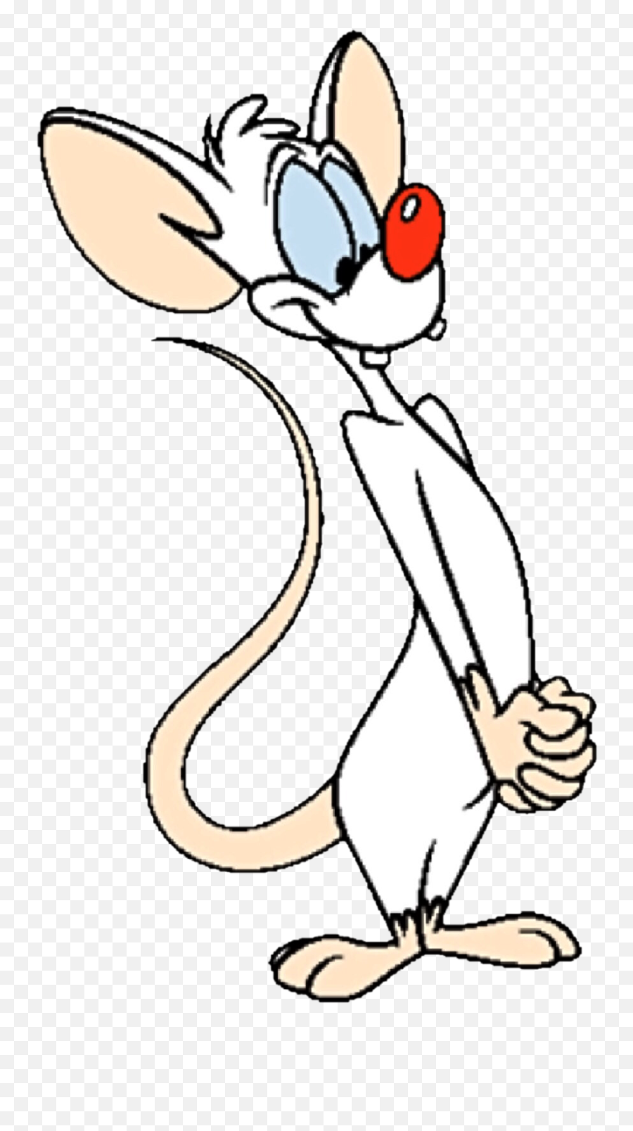 Pinky - Pinky From Pinky And The Brain Png,Cartoon Brain Png