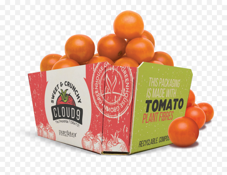 Tomato Fiber - Based Packaging Finds Commercial Applications Vegetables Fibre Food Packaging Png,Tomato Plant Png