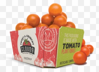 Tomato Fiber - Based Packaging Finds Commercial Applications Vegetables Fibre Food Packaging Png,Tomato Plant Png