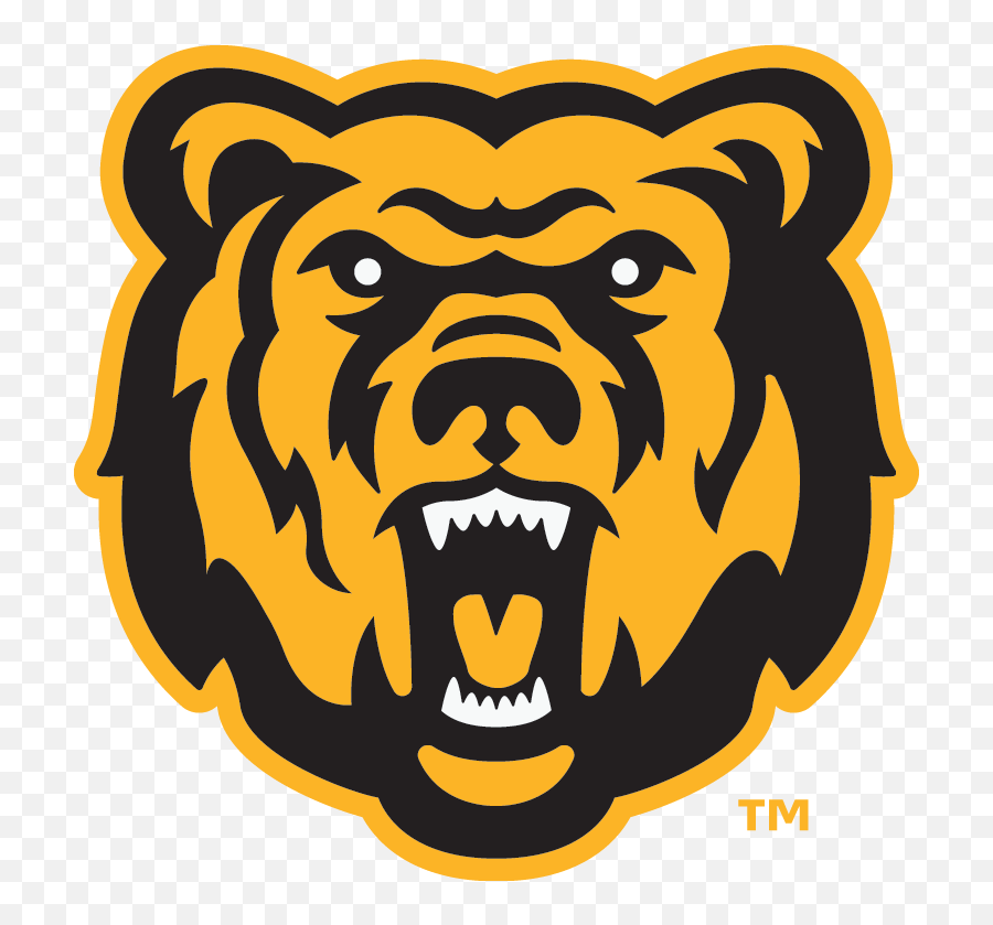 Canton Minor Hockey Logo Files - Logo In Jpeg Format Png,Bears Logo Png