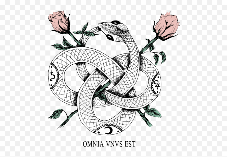 Ouroboros - Never Ending Snake Tattoo Png Download Ouroboros Tattoo,Snake Tattoo Png