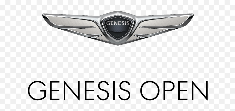 2019-2021 GENESIS G70 Genuine Front Hood Rear Trunk Wing Logo Emblem B –  motorialkorea.com