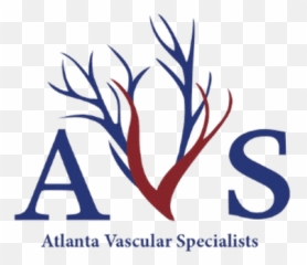 Spider Vs Varicose Veins Four Critical Distinctions - Language Png,Veins Png